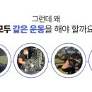 라이프피트니스안양