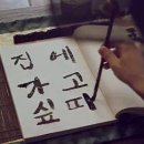 샵봄애견샵 이미지