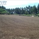 하모리-12 이미지