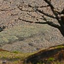 고흥2농장 이미지