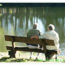 십자가축병원 이미지