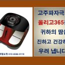 힐링아이시냅스 | 올리고365 체험사례(2) 보시고 체험요청하세요