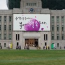 중고광장