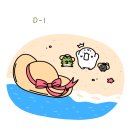 디데이스토어