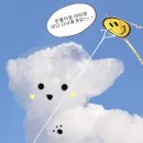 [중국술 추천] 펑라이 연태고량주 주선방 중식 궁합에 찰떡 깔끔하고 숙취 없이 개운했던 술 연태 블랙...