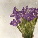 (주)우노 이미지