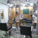 도도스타일 이미지