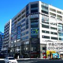 5층 하늘약국 Daum카페