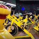 아라핏짐 이미지