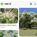 파리바게트 강남시장점 | 5월 (1) : 맛있게 먹으면 0칼로리