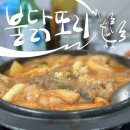 창원 현지인 추천 맛집 불닭또리 불닭볶음탕 술집