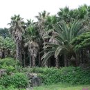 호근동-7 이미지