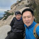 차와사람들 이미지