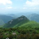 가지산 - 중구 | 가지산