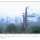 명산개발 이미지