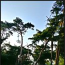 밀양유원지야영장 이미지