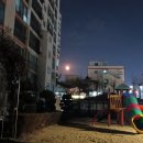 강호 특공무술 이미지