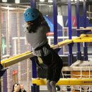 트램폴린파크 이미지