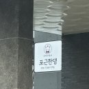 포근한댕 네이버블로그