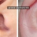 국제이현협회 이미지