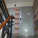 분당-343 이미지