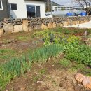 소기왓민박 이미지