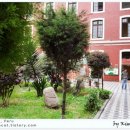 안녕고양이 이미지