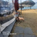 스페이스 펜션 | 거제 감성 카라반 거제애견동반펜션 거제스페이스펜션 솔직후기 감성 글램핑 느낌 제대로