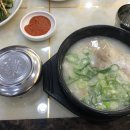 한끼돼지