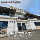 감포해산물 | 감포횟집 부부수산, 푸짐한 모듬회+해산물 세트 포장 후기