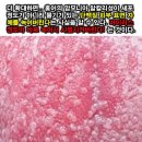 홍어이야기 이미지