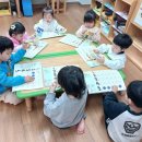 동글개 이미지