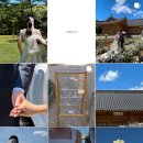 리버스호텔 | 본식 아이폰 스냅 추천 ✨르누토스냅(구 리버스냅)✨ 계약 후기 | 더블트리 바이 힐튼 그랜드 볼륨 홀...