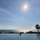 따봉PC방 | [제주 호텔] 파르나스 호텔 제주 에스츄어리 풀 &amp; 바르 이용후기 ｜ 천국 같았던 시간🍹