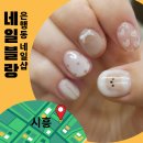 치코린도