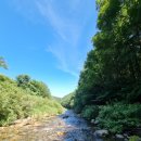 들꽃팬션 앞 이미지