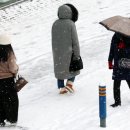 대설광주