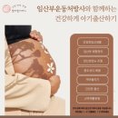 발라필라테스