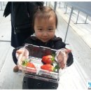 용범농장 이미지