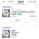 신도담 이미지