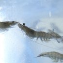 산성횟집 이미지