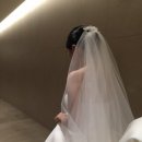 씨즈타워 - 40476 | w2. 본식 아이폰스냅🤳🏻씨즈더데이스냅 계약후기!