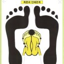 (주)피트 이미지