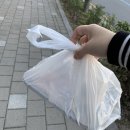버스정류장 07-636 | [구월] 유정의 일상 #07