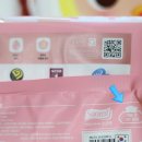 순둥이유치원 이미지