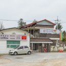 영구네백반 이미지