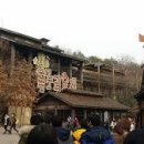 자연농원 Daum카페