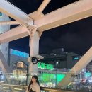 도쿄 개덥다 진짜 Tokyo tour Day 2 (Disney land)