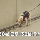 대한민국1호 이미지
