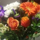 현이네민박 이미지